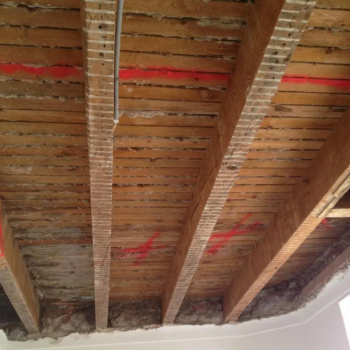 bois contaminé par des champignons lignivores