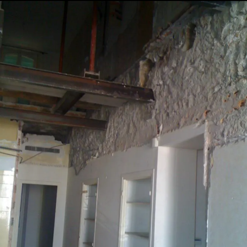 phase de décroutage pour traiter les champignons lignivores