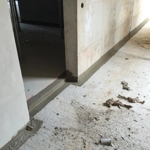 Traitement anti-termites avant construction