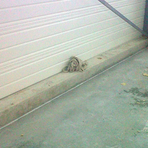 Traitement termites avant construction