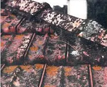 Nettoyage toiture contre les linchens