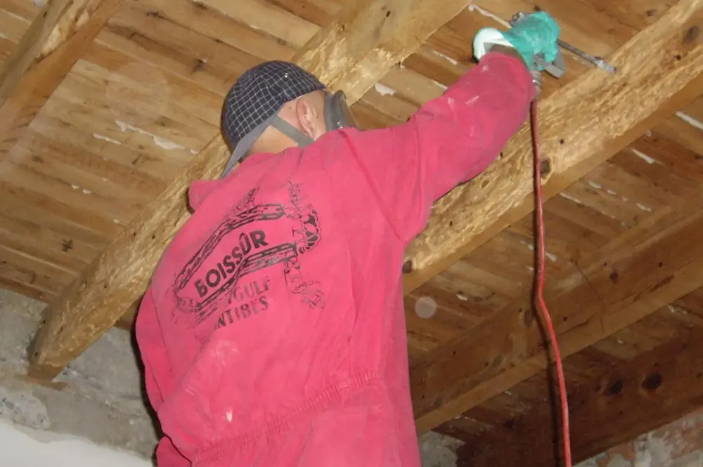 Traitement bois charpente